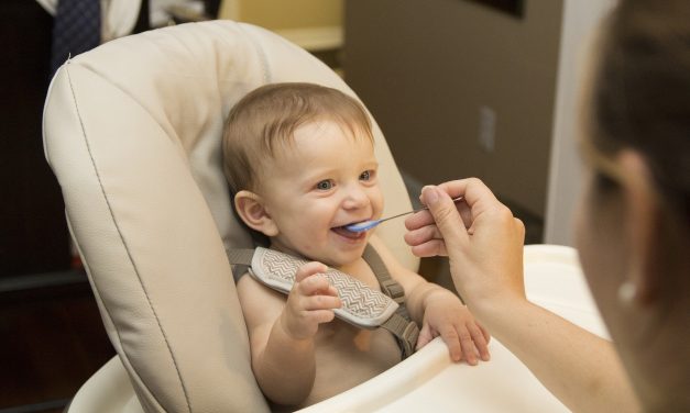 Making Ten Baby Meals For Under £1